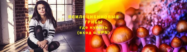тгк Абаза