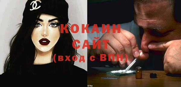 тгк Абаза