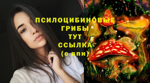 мет Кулебаки