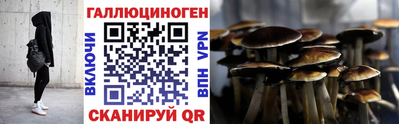 Псилоцибиновые грибы Psilocybine cubensis  магазин  наркотиков  Абакан 